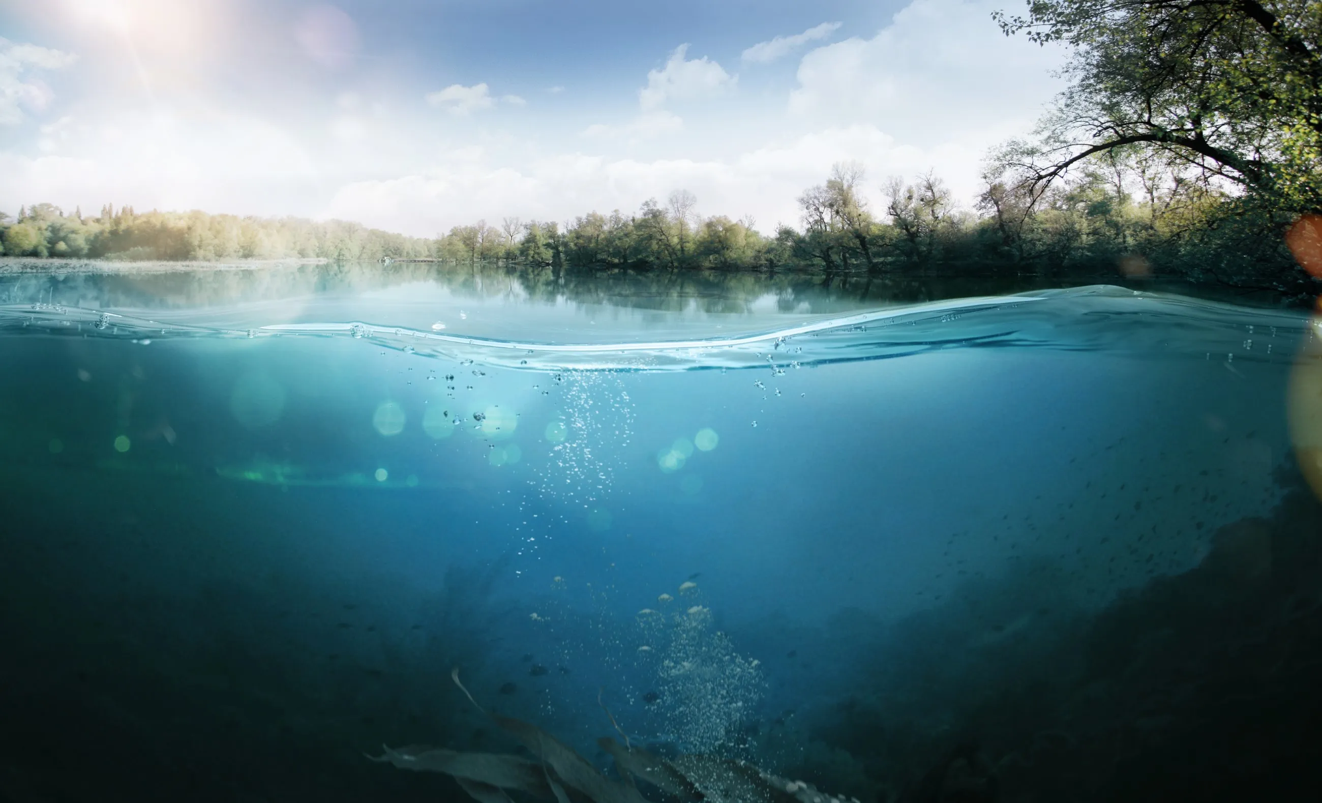 water view